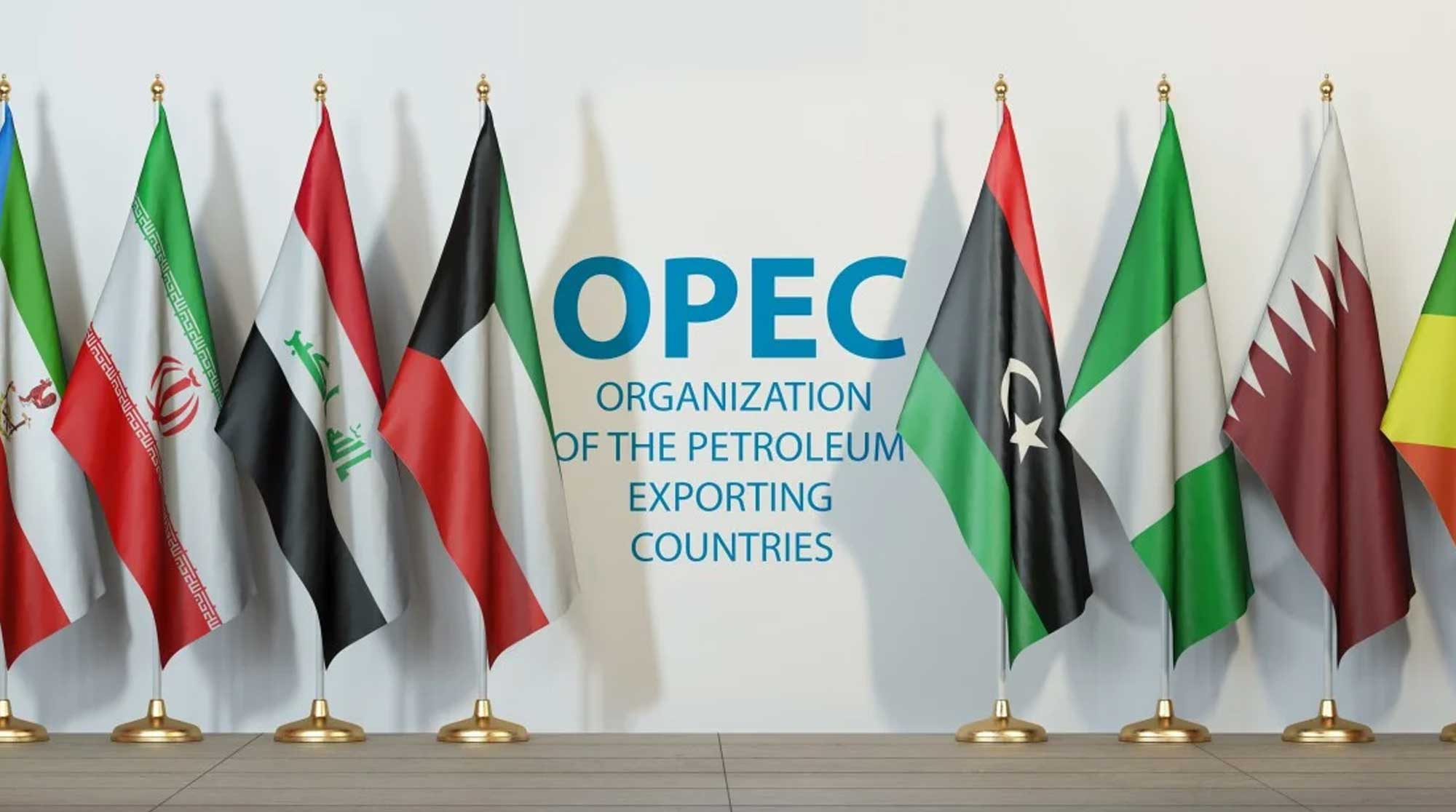 OPEC Report Puts Mobility’s Energy Choices in Focus